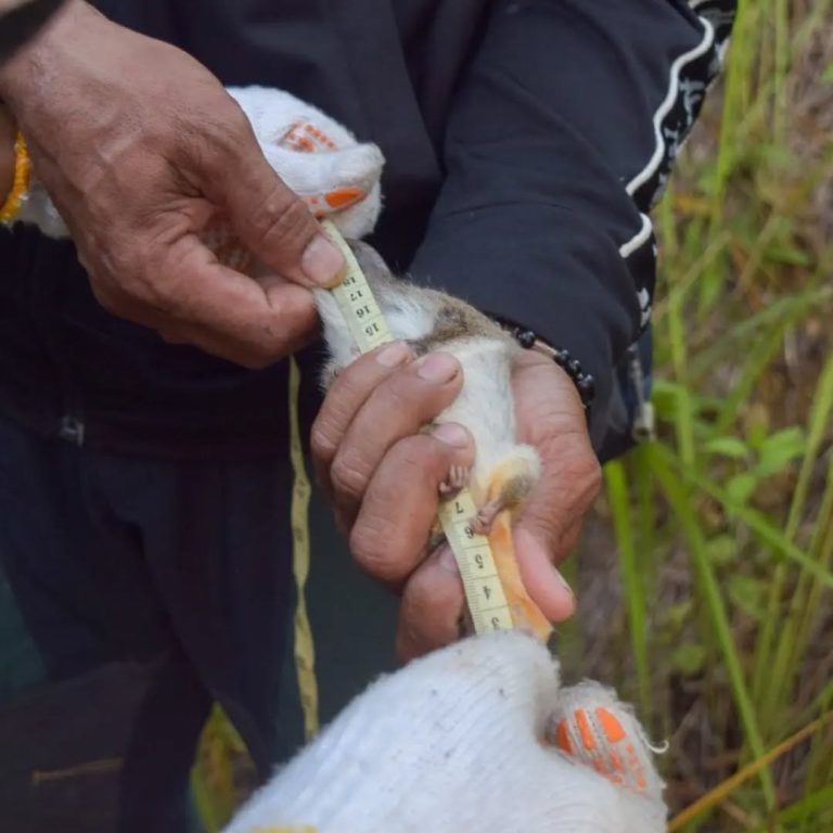 SaveClip.App_454395569_477815698534717_8124624672397990605_n