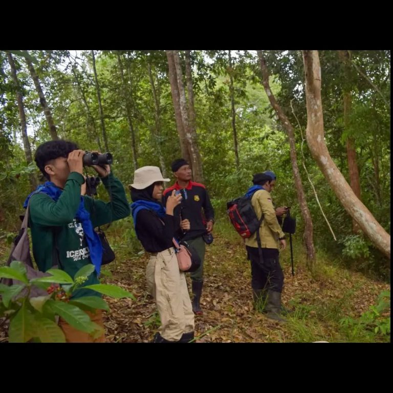 SaveClip.App_454395937_2453899474806413_5718837349081924114_n