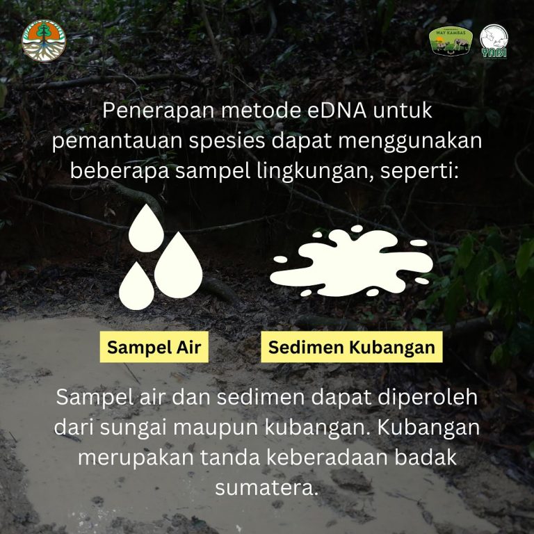 SaveClip.App_468557759_18385956919101684_856858921812360667_n