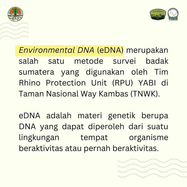 SaveClip.App_468558490_18385956772101684_1610614376522448712_n