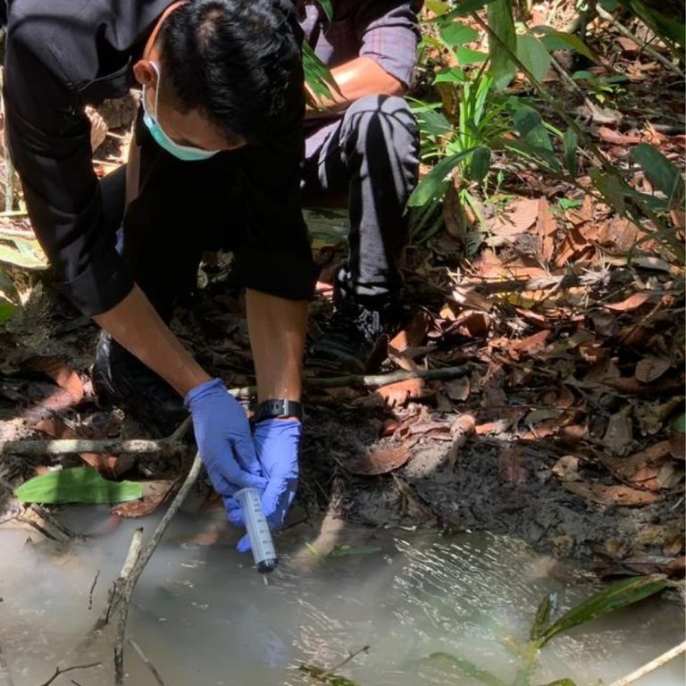 SaveClip.App_468610759_18385956916101684_8529024994495731719_n