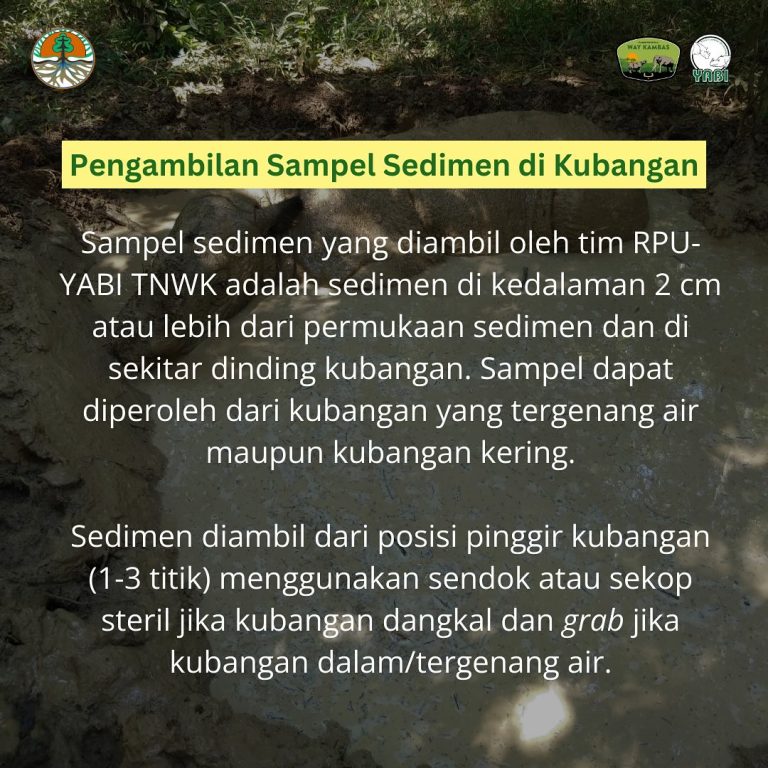 SaveClip.App_468640961_18385956838101684_339165289667079986_n