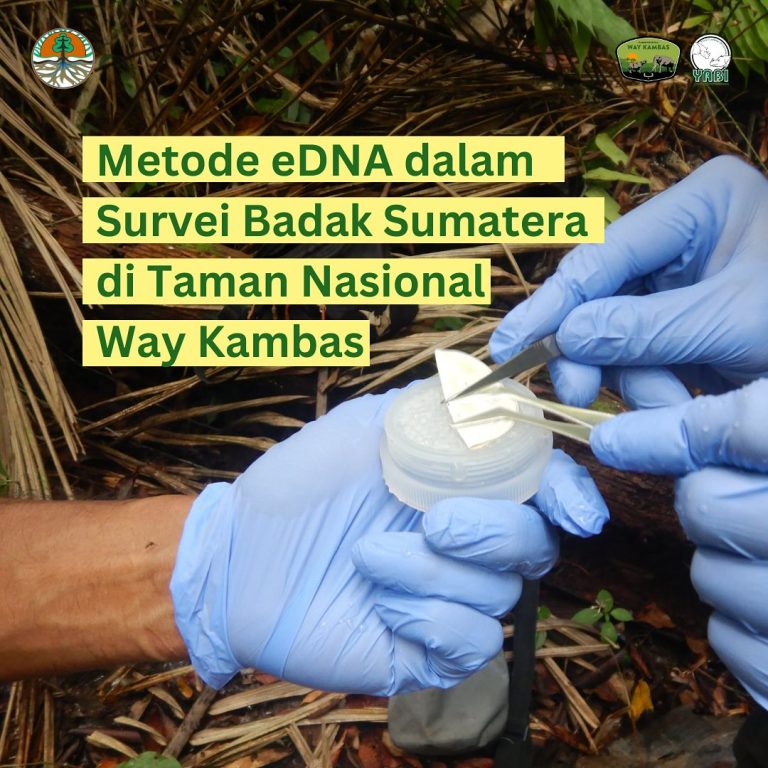 SaveClip.App_468641155_18385956922101684_7190785425997862711_n