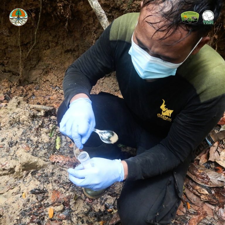 SaveClip.App_468649637_18385956910101684_5442510018838700195_n