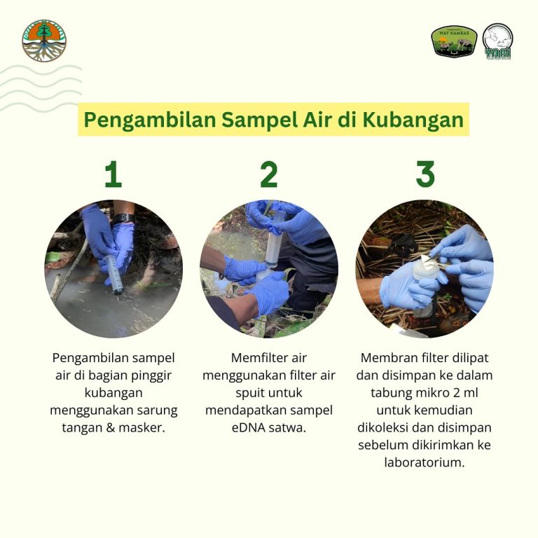 SaveClip.App_468711933_18385956928101684_1642686747258162261_n