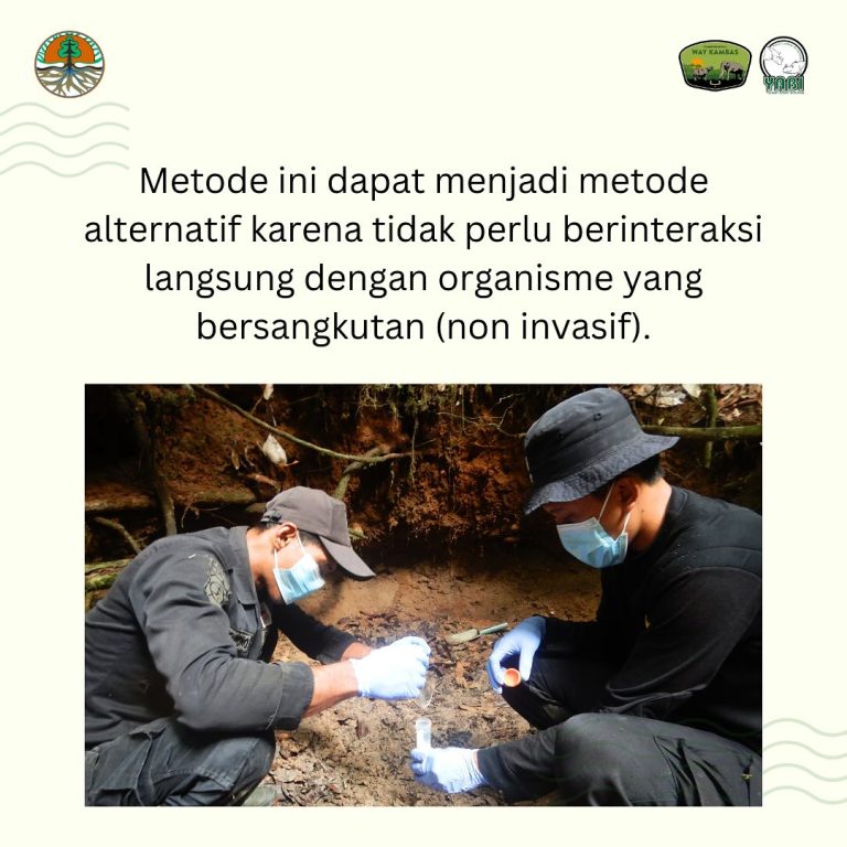 SaveClip.App_468731350_18385956844101684_8547992889812115215_n