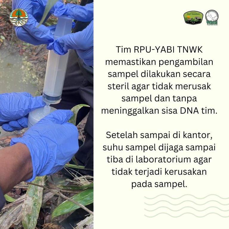 SaveClip.App_468849469_18385956952101684_7706085048818969469_n