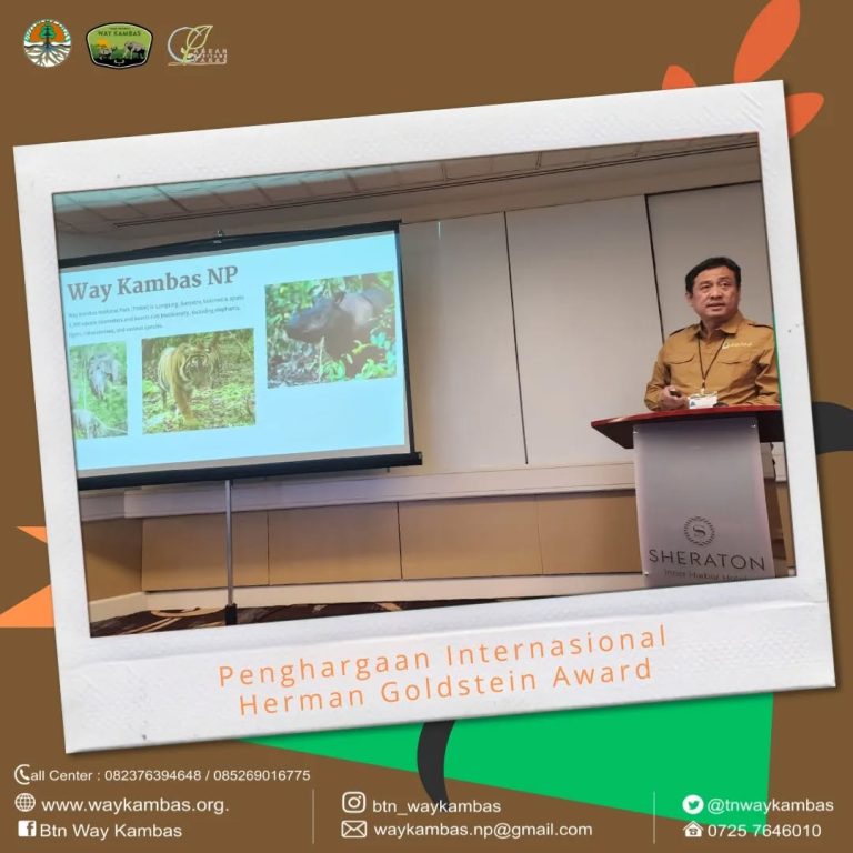 SaveClip.App_460414896_783106793813864_2763344618709318200_n