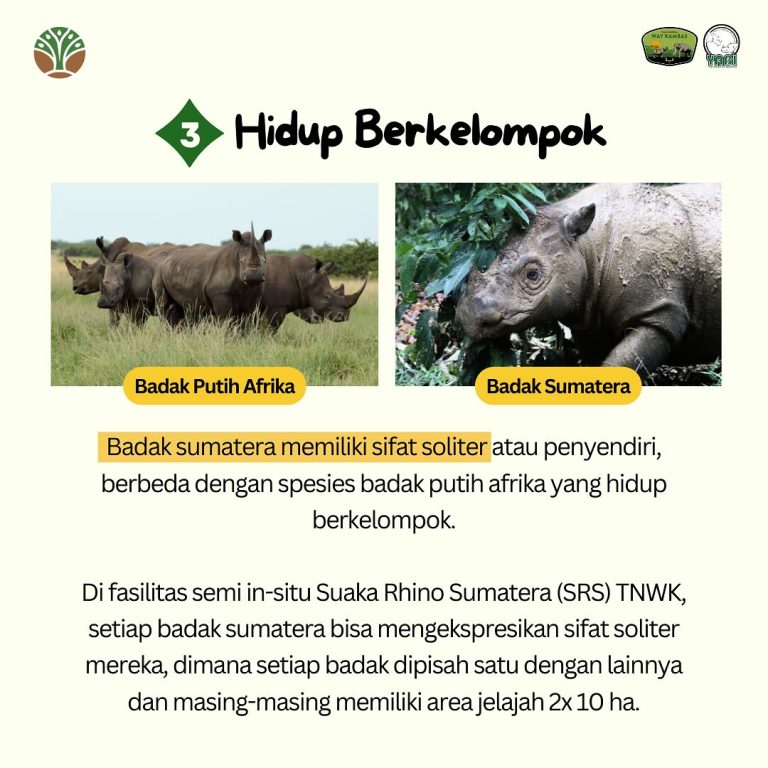 Sederhana, tapi badak sumatera ngga bisa, apakah itu#SobatWayKambas & #SahabatBadak, terdapat ci (3)