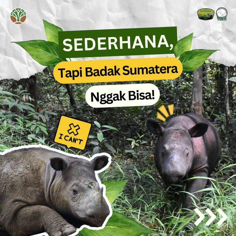 Sederhana, tapi badak sumatera ngga bisa, apakah itu#SobatWayKambas & #SahabatBadak, terdapat ci