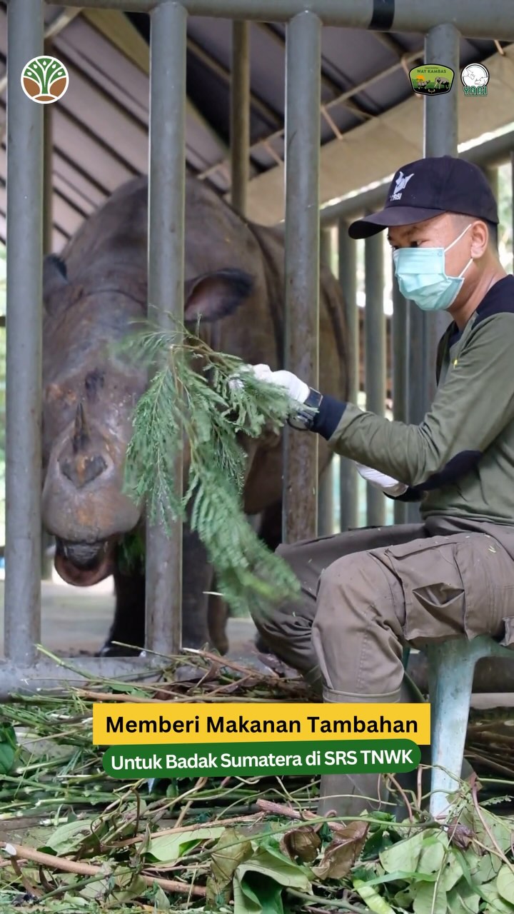 SaveClip.App_476193256_18395689306101684_6212394746643609608_n