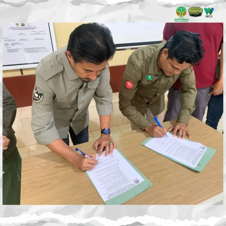 SaveClip.App_482068631_18374843800186934_5678001718041275450_n