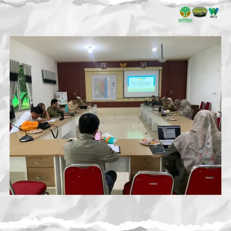 SaveClip.App_482142361_18374843791186934_9108111729916679673_n