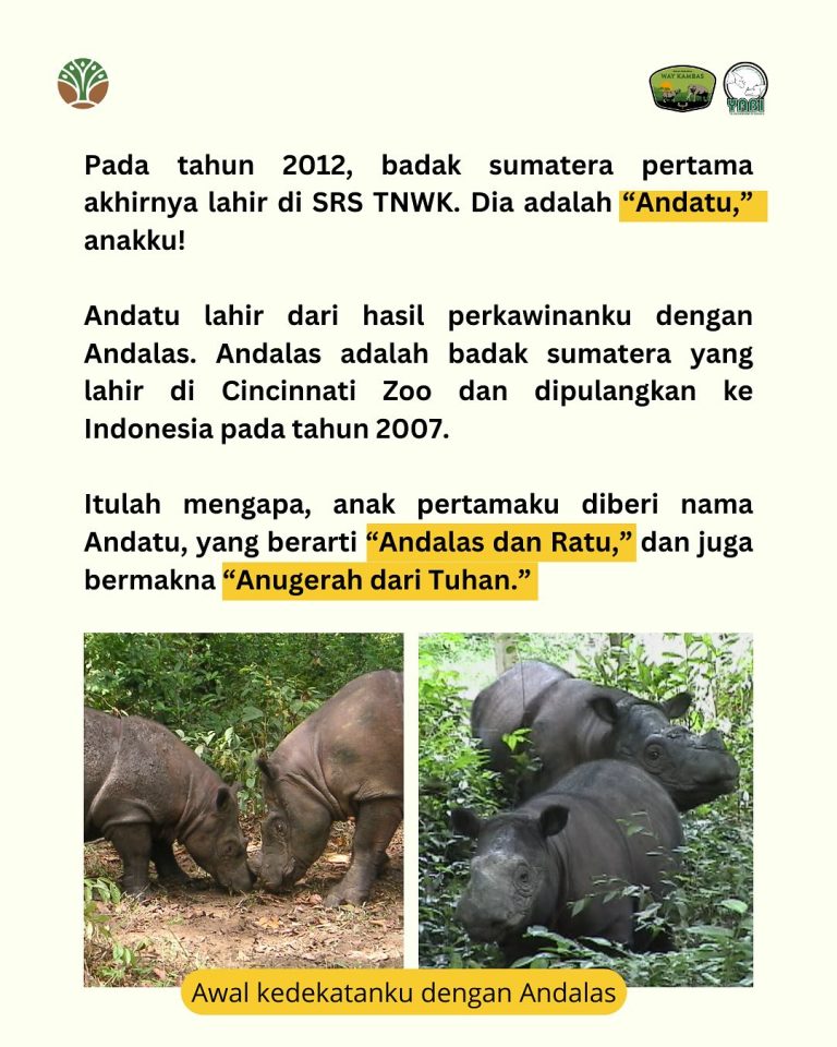 SaveClip.App_484785540_18402559237101684_2848643773479701675_n