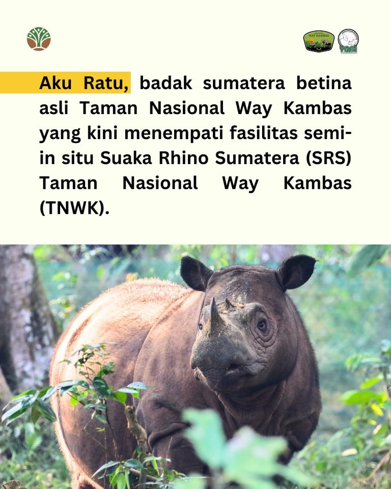 SaveClip.App_485006286_18402559201101684_2775704510479158119_n