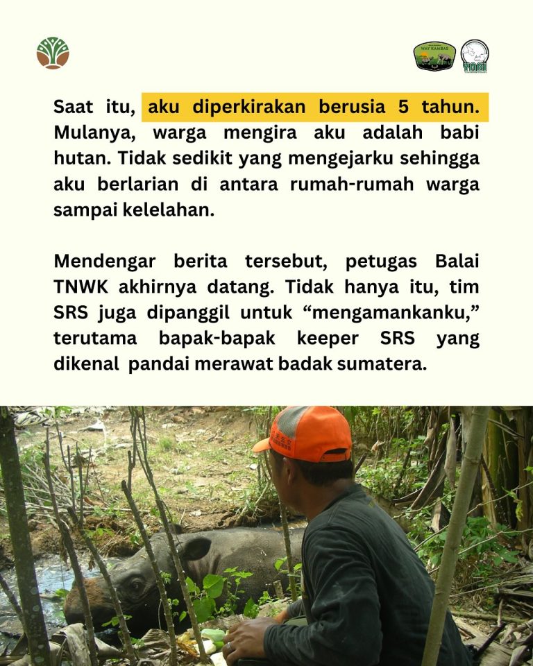 SaveClip.App_485011358_18402559228101684_8884133712631272323_n