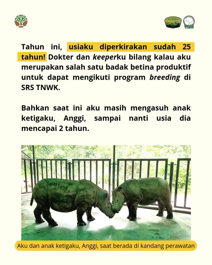 SaveClip.App_485035329_18402559330101684_1853956039402106974_n