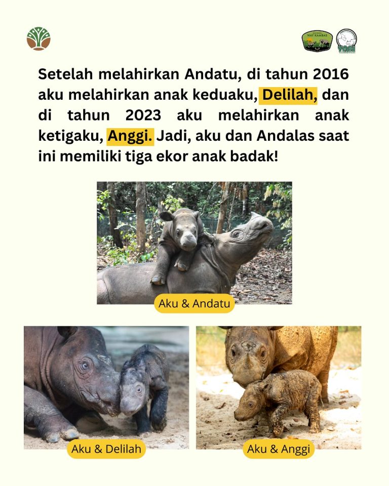 SaveClip.App_485035970_18402559246101684_1858469105127244920_n