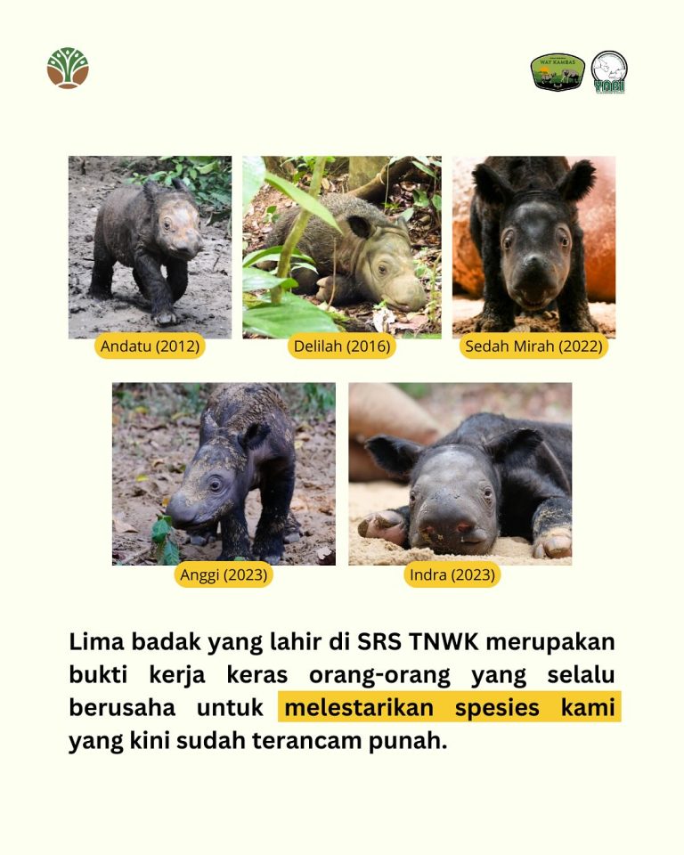 SaveClip.App_485055067_18402559264101684_1810719993280115735_n