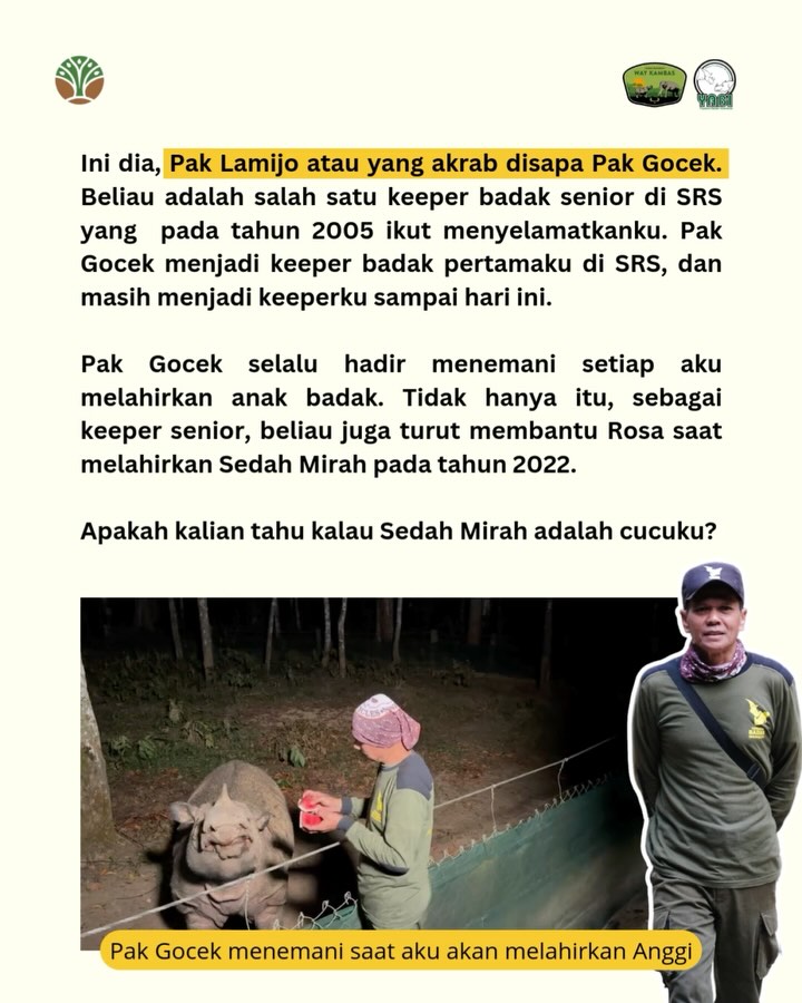 SaveClip.App_485213648_18402559309101684_5103076349026719357_n