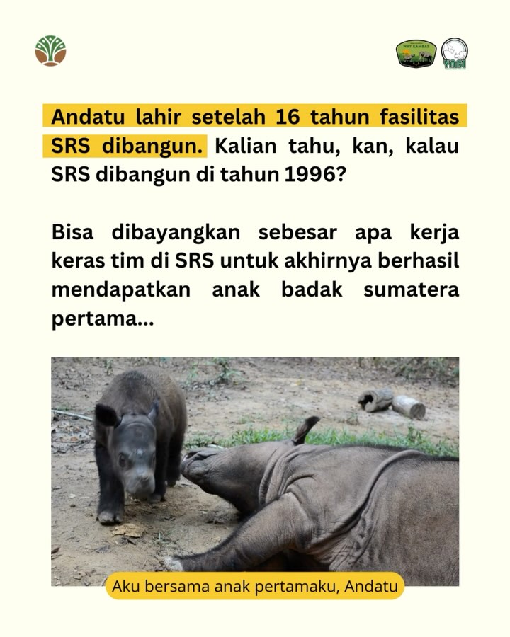 SaveClip.App_485241470_18402559381101684_8504941145407955600_n