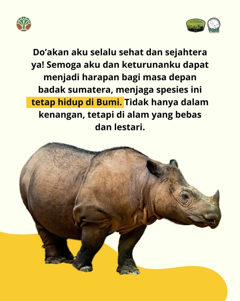 SaveClip.App_485251558_18402559273101684_2853209441571136017_n