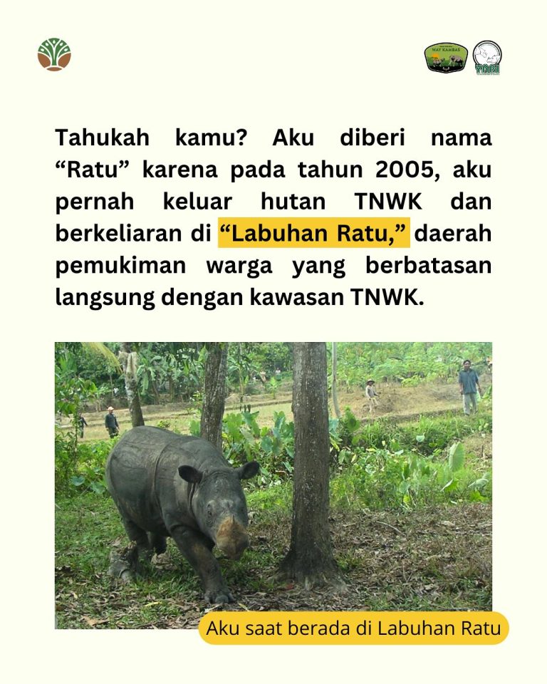 SaveClip.App_485277332_18402559210101684_944146016629165461_n