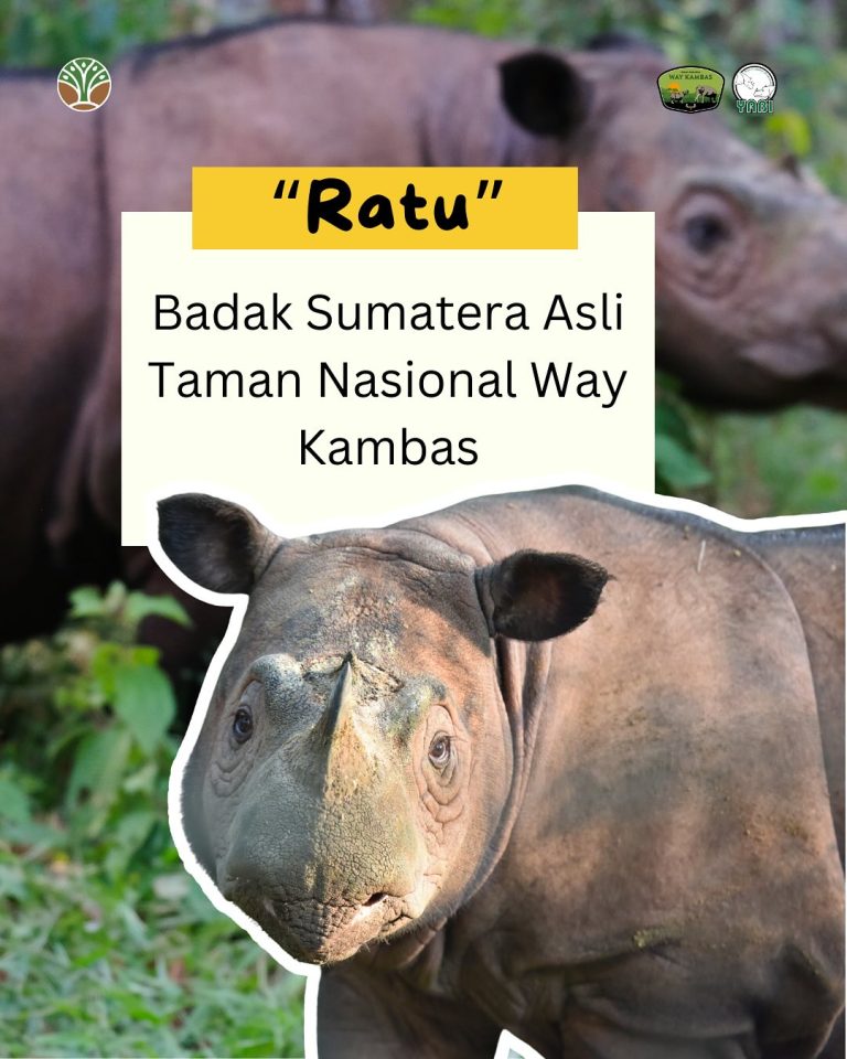 SaveClip.App_485487400_18402559192101684_1769393580007071955_n