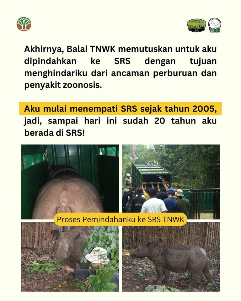 SaveClip.App_485488201_18402559225101684_2720302893250020112_n