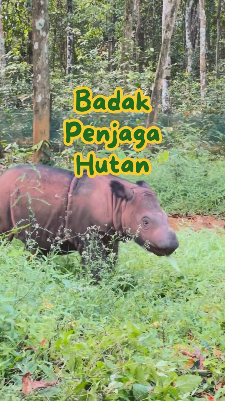 SaveClip.App_485609482_18402875527101684_2964329748558511297_n