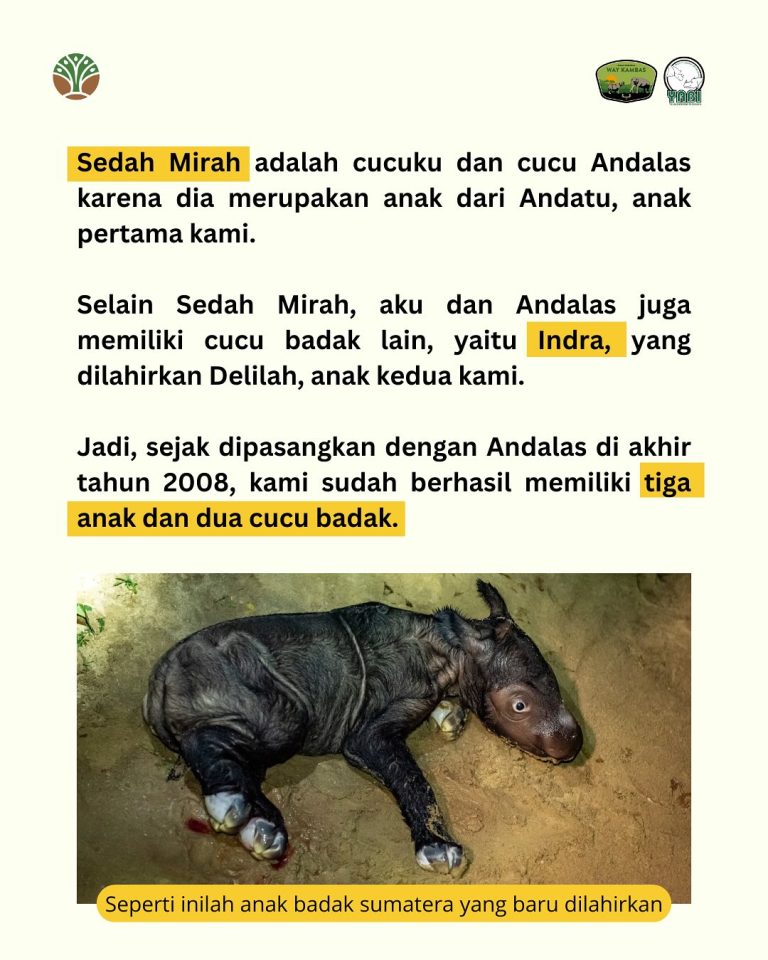 SaveClip.App_485611231_18402559255101684_4333855849907324932_n