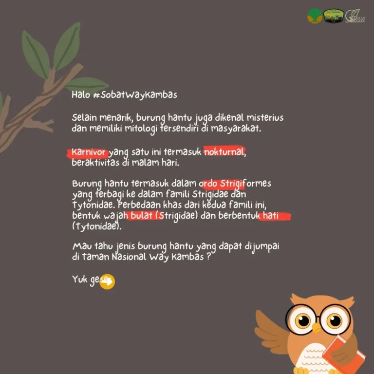 SaveClip.App_485834839_18378014812186934_340166539736390620_n