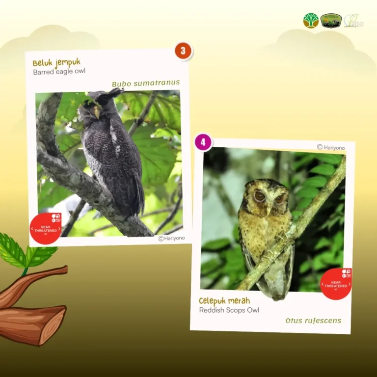 SaveClip.App_485865252_18378014830186934_3231177116880482745_n