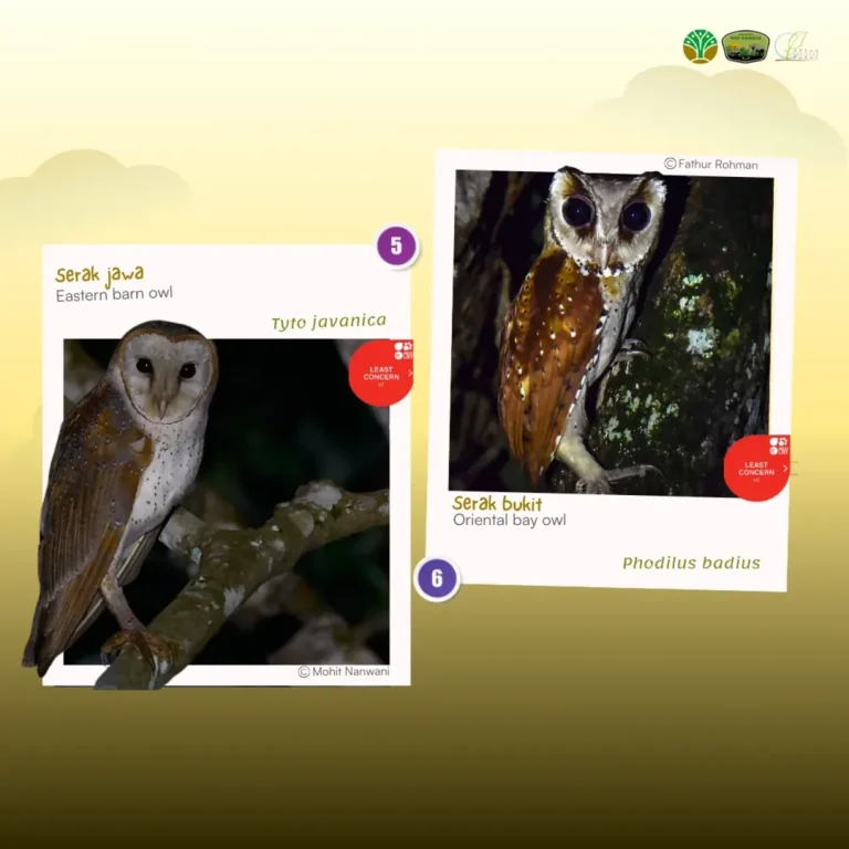 SaveClip.App_485906669_18378014839186934_7417238439823711527_n