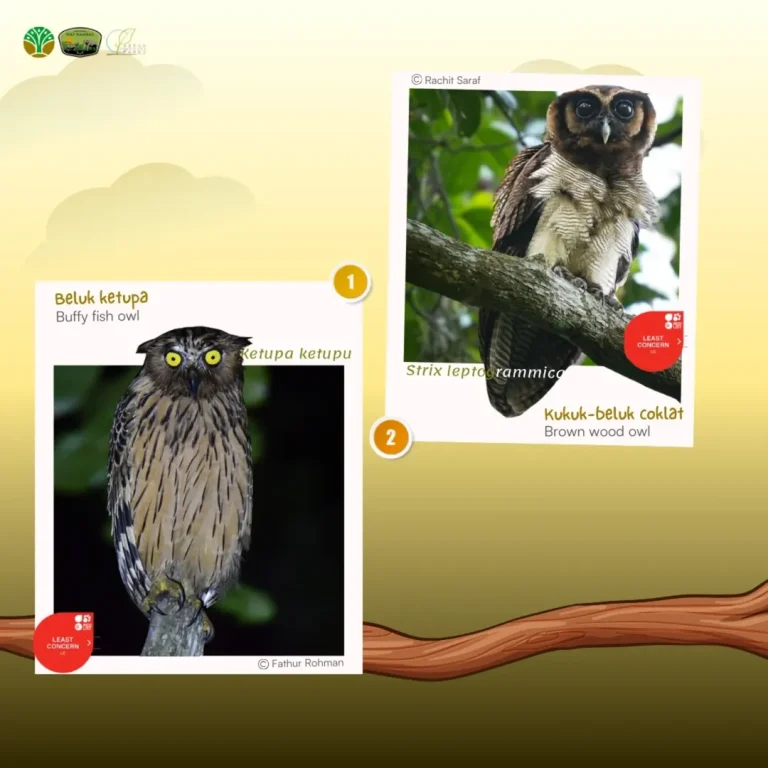 SaveClip.App_486014477_18378014821186934_619094410944292713_n