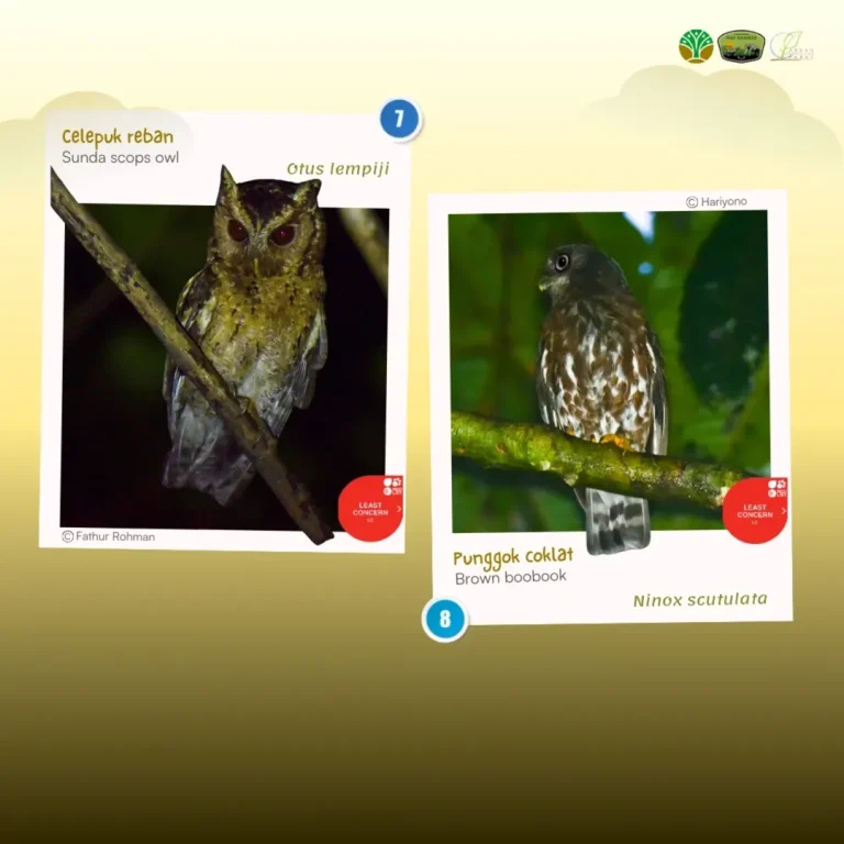 SaveClip.App_486038835_18378014848186934_6865432315396330436_n