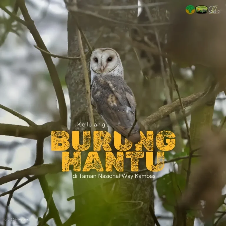 SaveClip.App_486256626_18378014803186934_5572603980802331922_n