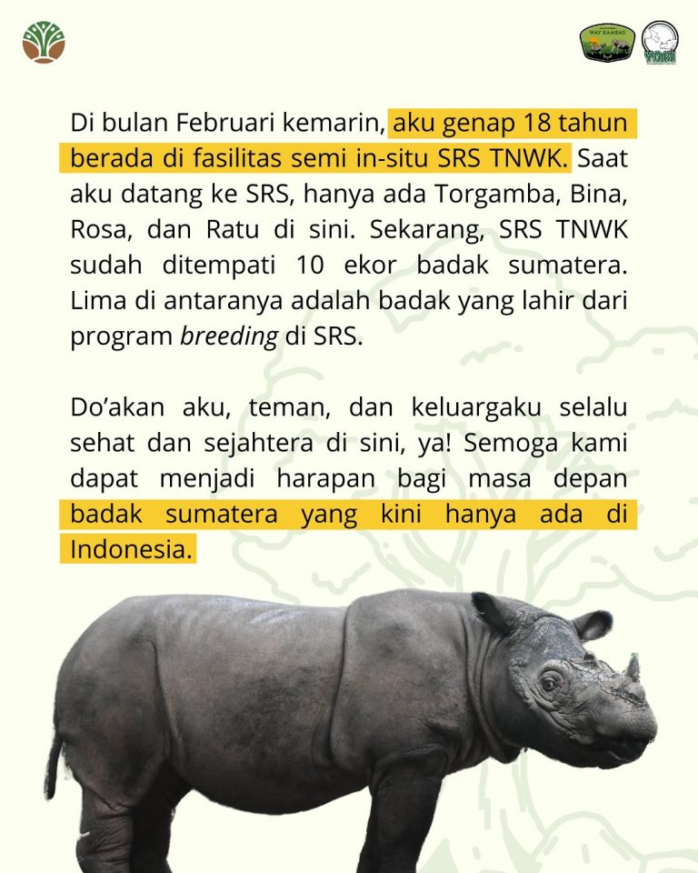 SaveClip.App_489533041_18406492096101684_8278600034955829137_n