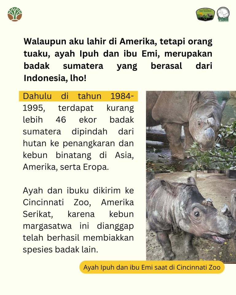 SaveClip.App_489548005_18406491967101684_2866119293202187707_n