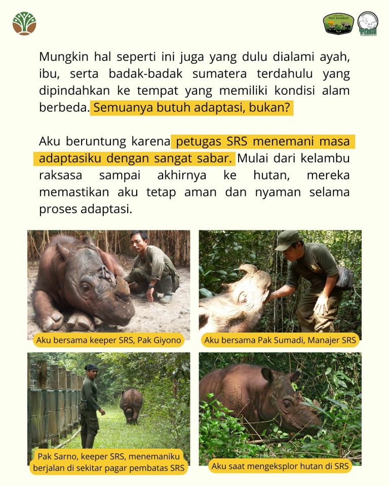 SaveClip.App_489578284_18406492042101684_248246694912342176_n