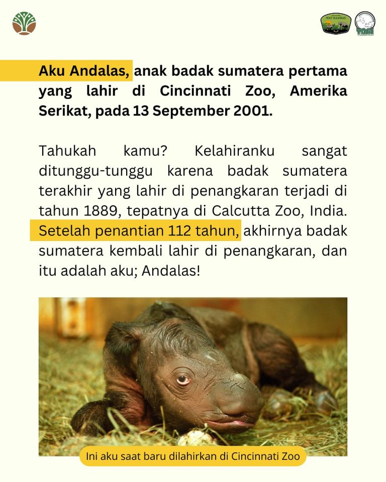 SaveClip.App_489612141_18406491958101684_3712261984782953508_n