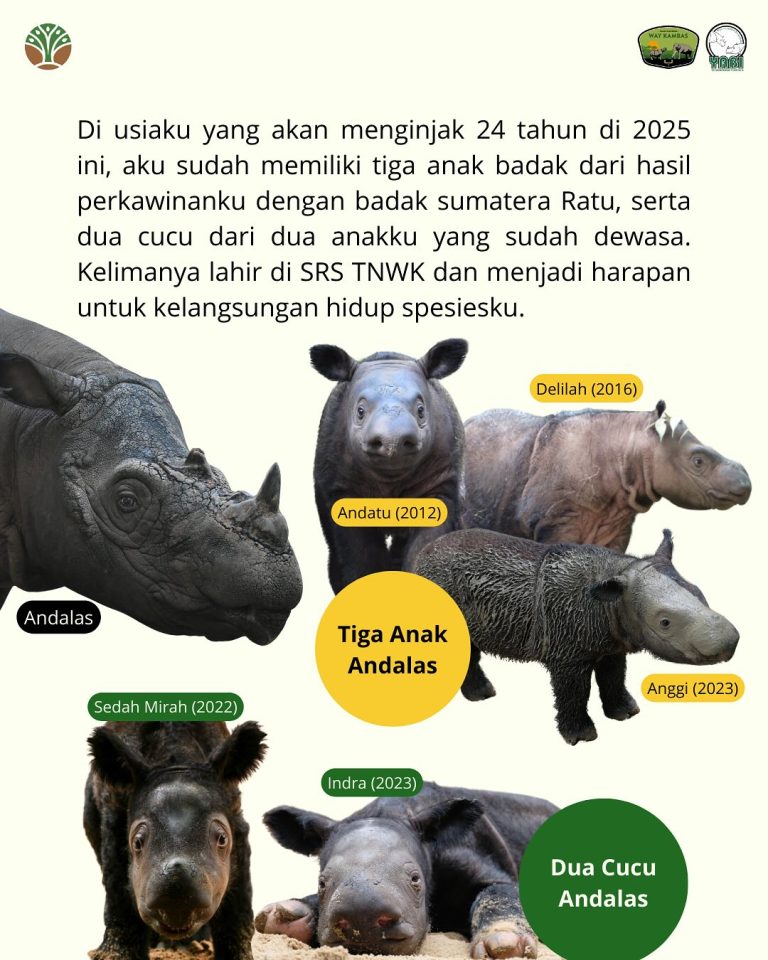 SaveClip.App_489631676_18406492060101684_3190252078765177665_n