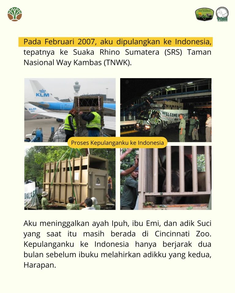 SaveClip.App_489680849_18406491994101684_7433868198479513653_n