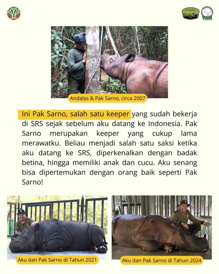 SaveClip.App_489829980_18406492054101684_2964270884679907086_n