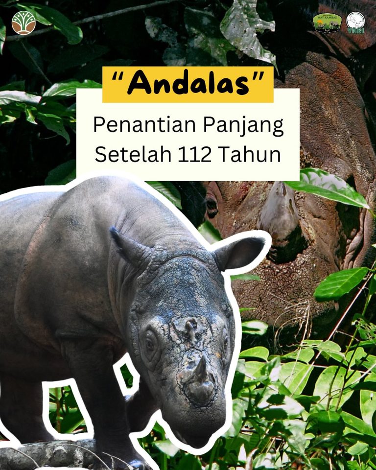 SaveClip.App_489845100_18406491949101684_6090824077799159044_n