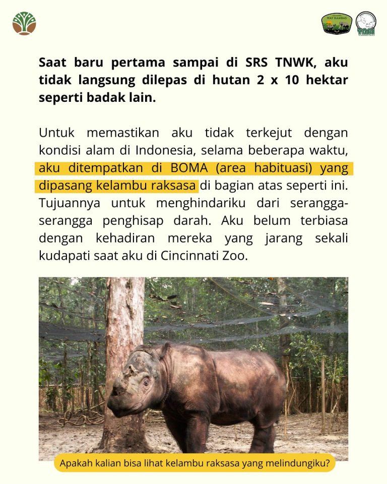 SaveClip.App_489849905_18406492108101684_6349423102733537236_n