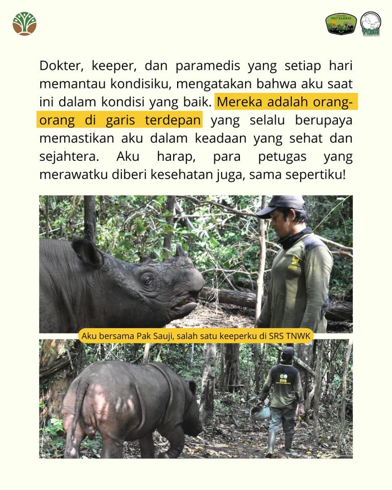 SaveClip.App_489924855_18406492087101684_6042285875146021015_n