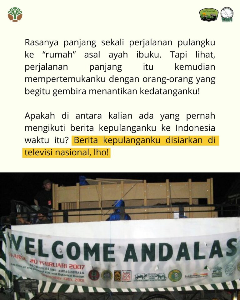 SaveClip.App_489991121_18406492078101684_5227334788590928810_n