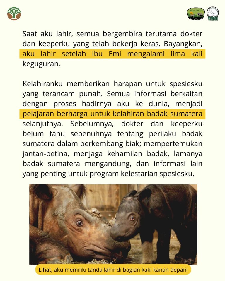 SaveClip.App_490301506_18406491976101684_6857165095562364340_n