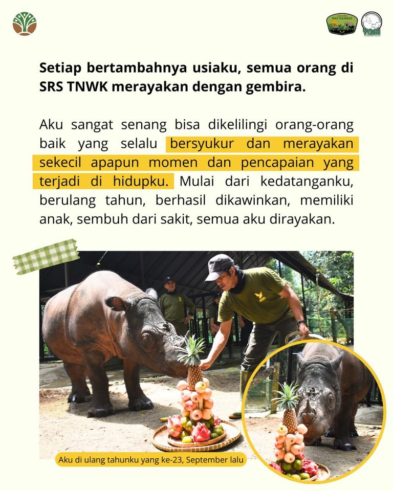 SaveClip.App_490334650_18406492069101684_5939766090447825908_n